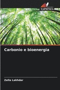 bokomslag Carbonio e bioenergia