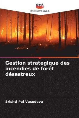 Gestion stratgique des incendies de fort dsastreux 1