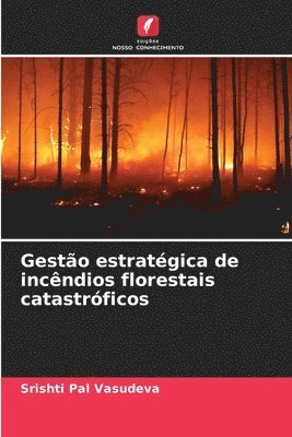 Gesto estratgica de incndios florestais catastrficos 1