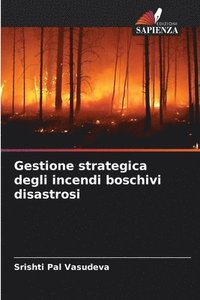 bokomslag Gestione strategica degli incendi boschivi disastrosi