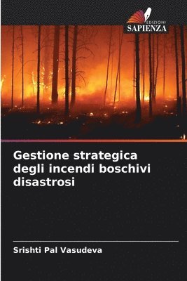 Gestione strategica degli incendi boschivi disastrosi 1
