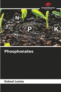 bokomslag Phosphonates