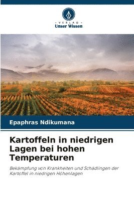 Kartoffeln in niedrigen Lagen bei hohen Temperaturen 1