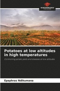 bokomslag Potatoes at low altitudes in high temperatures