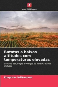 bokomslag Batatas a baixas altitudes com temperaturas elevadas