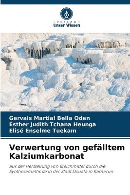 bokomslag Verwertung von geflltem Kalziumkarbonat