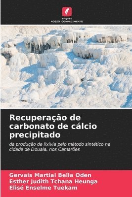 bokomslag Recuperao de carbonato de clcio precipitado