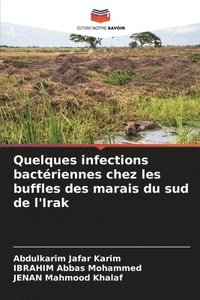 bokomslag Quelques infections bactriennes chez les buffles des marais du sud de l'Irak