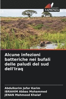 Alcune infezioni batteriche nei bufali delle paludi del sud dell'Iraq 1