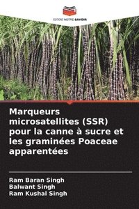 bokomslag Marqueurs microsatellites (SSR) pour la canne  sucre et les gramines Poaceae apparentes
