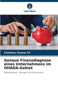 bokomslag Genaue Finanzdiagnose eines Unternehmens im OHADA-Gebiet