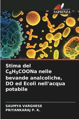 bokomslag Stima del C6H5COONa nelle bevande analcoliche, DO ed Ecoli nell'acqua potabile