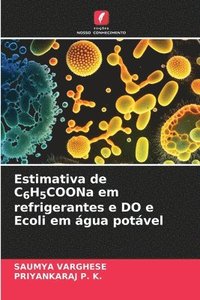 bokomslag Estimativa de C6H5COONa em refrigerantes e DO e Ecoli em gua potvel