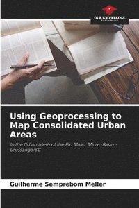 bokomslag Using Geoprocessing to Map Consolidated Urban Areas
