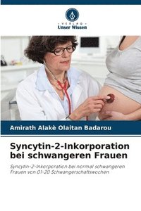 bokomslag Syncytin-2-Inkorporation bei schwangeren Frauen
