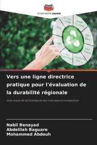 bokomslag Vers une ligne directrice pratique pour l'valuation de la durabilit rgionale