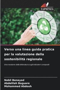 bokomslag Verso una linea guida pratica per la valutazione della sostenibilit regionale