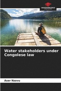 bokomslag Water stakeholders under Congolese law