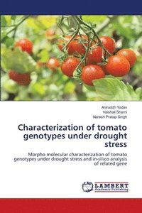 bokomslag Characterization of tomato genotypes under drought stress