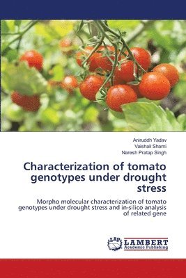 Characterization of tomato genotypes under drought stress 1