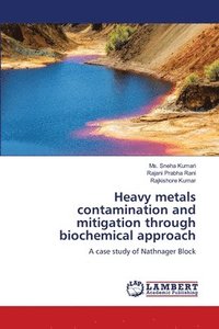 bokomslag Heavy metals contamination and mitigation through biochemical approach
