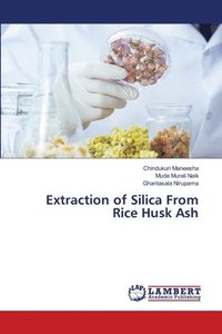 bokomslag Extraction of Silica From Rice Husk Ash