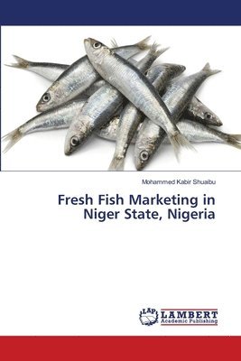 Fresh Fish Marketing in Niger State, Nigeria 1