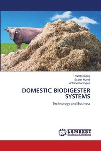 bokomslag Domestic Biodigester Systems