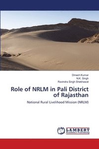 bokomslag Role of NRLM in Pali District of Rajasthan