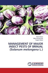 bokomslag MANAGEMENT OF MAJOR INSECT PESTS OF BRINJAL (Solanum melongena L.)