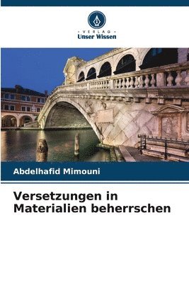 Abdelhafid Mimouni - Versetzungen in Materialien beherrschen, Häftad
