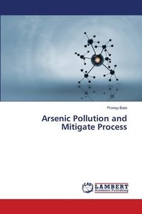 bokomslag Arsenic Pollution and Mitigate Process