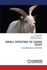 bokomslag Small Intestine of Gaddi Goat