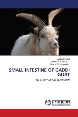 Small Intestine of Gaddi Goat 1