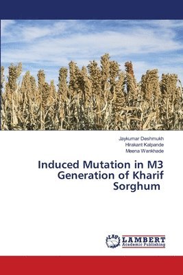 Induced Mutation in M3 Generation of Kharif Sorghum 1