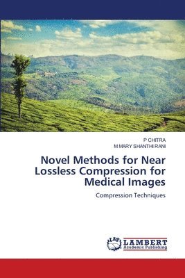 Novel Methods for Near Lossless Compression for Medical Images 1