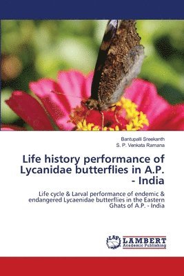 Life history performance of Lycanidae butterflies in A.P. - India 1
