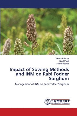 Impact of Sowing Methods and INM on Rabi Fodder Sorghum 1