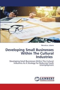 bokomslag Developing Small Businesses Within The Cultural Industries