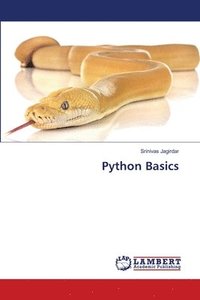 bokomslag Python Basics