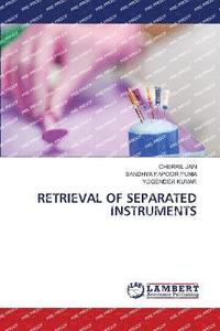 bokomslag Retrieval of Separated Instruments