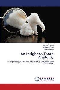 bokomslag An Insight to Tooth Anatomy
