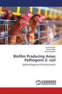 bokomslag Biofilm Producing Avian Pathogenic E. coli