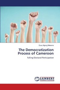 bokomslag The Democratization Process of Cameroon