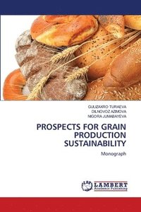bokomslag Prospects for Grain Production Sustainability