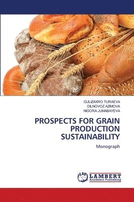 bokomslag Prospects for Grain Production Sustainability