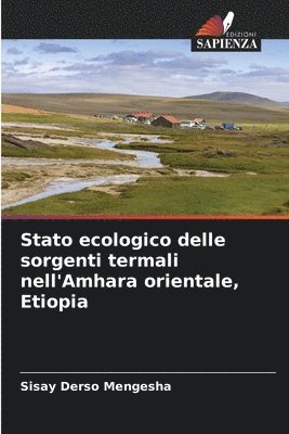 bokomslag Stato ecologico delle sorgenti termali nell'Amhara orientale, Etiopia