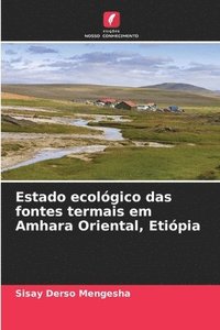 bokomslag Estado ecolgico das fontes termais em Amhara Oriental, Etipia