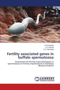 bokomslag Fertility associated genes in buffalo spermatozoa