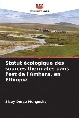 bokomslag Statut cologique des sources thermales dans l'est de l'Amhara, en thiopie